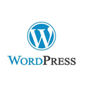 Wordpress Adamo Agency